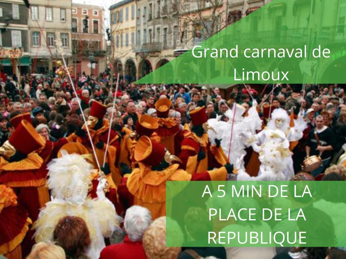 Le Cathare-Limoux-Wifi-Parking Free-Oc-Keys Apartment Bagian luar foto